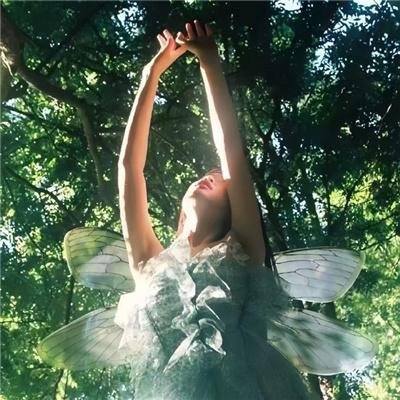 焚尽旧梦燃星火